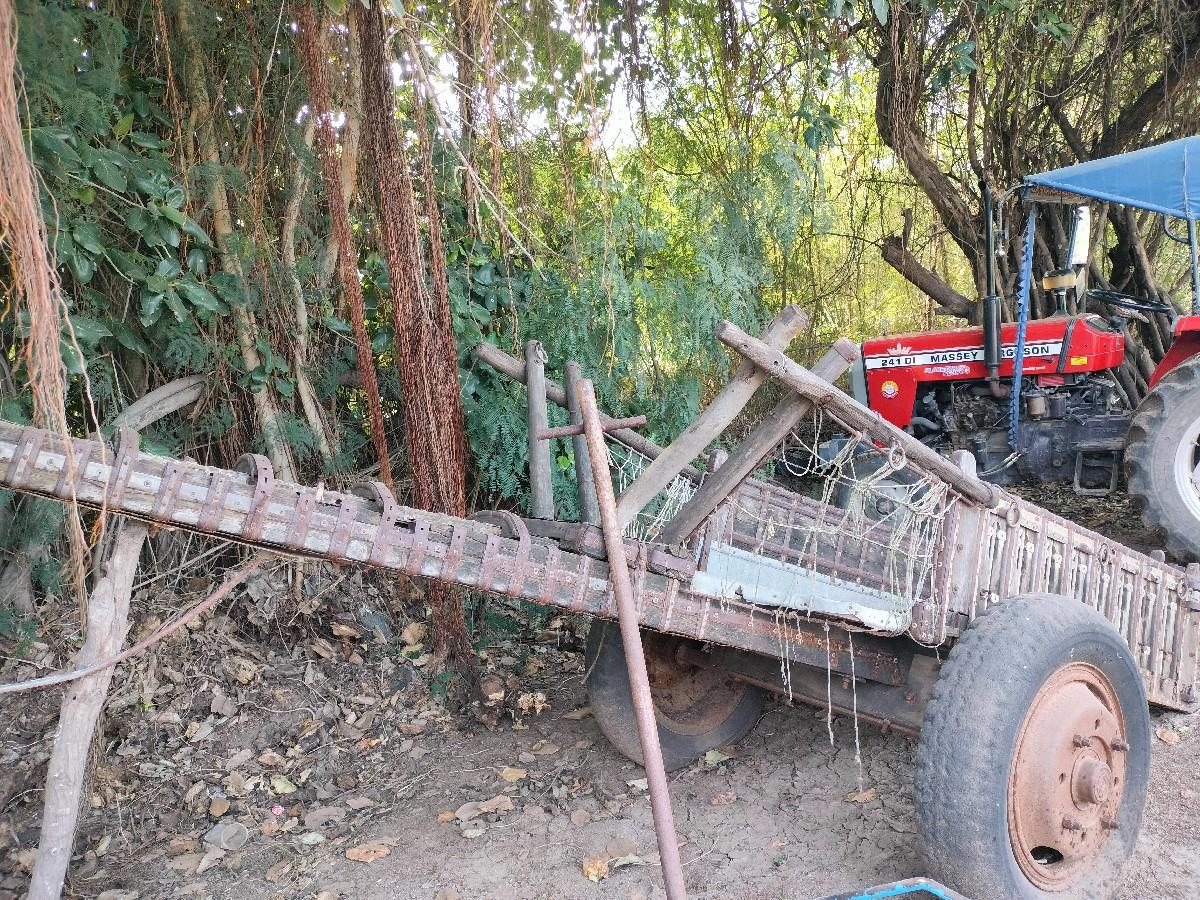 थंबनेल 2