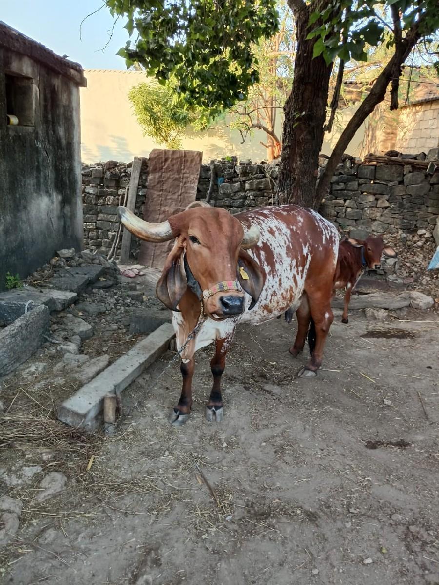 थंबनेल 2