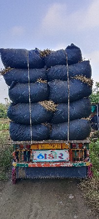 જીવી માંડવી નો ભુક્કો વેચવાનો