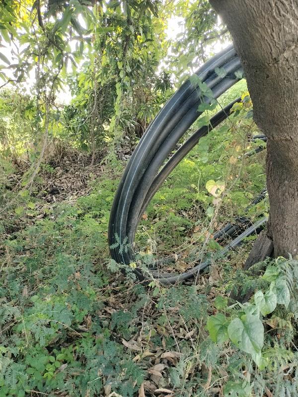 બોરનો ડંડો વેસવાનો છે