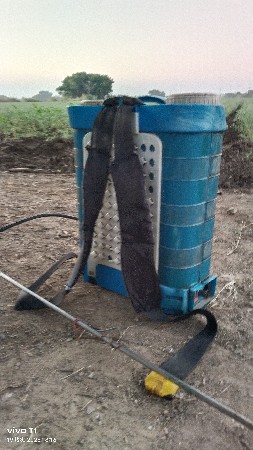 પાપા વેચવાનો છે