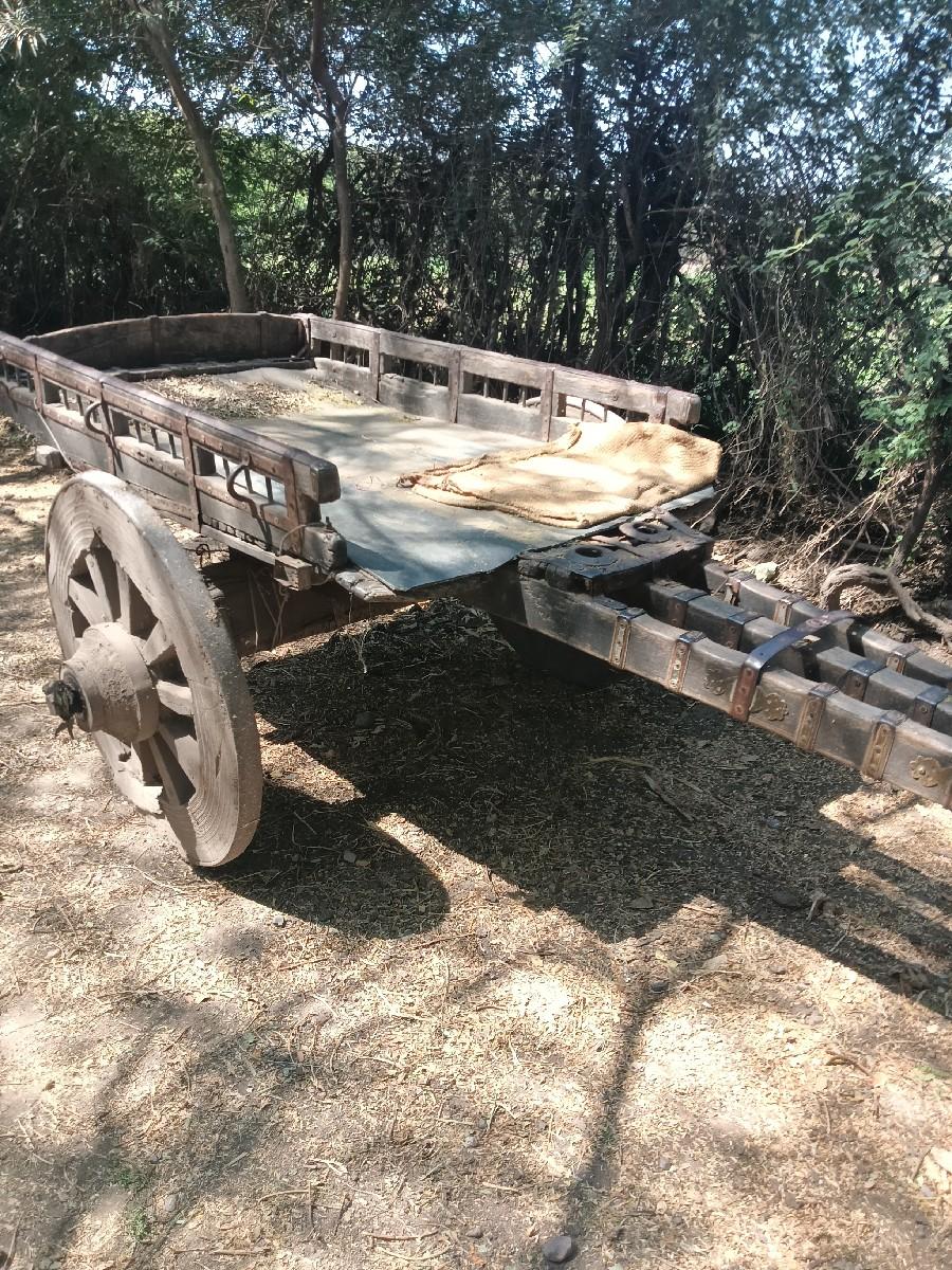 थंबनेल 3