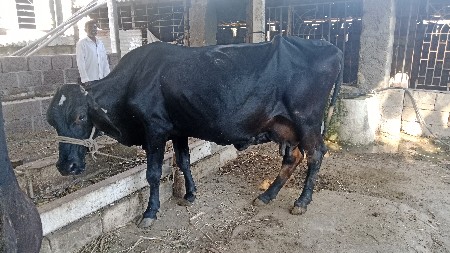 थंबनेल 1