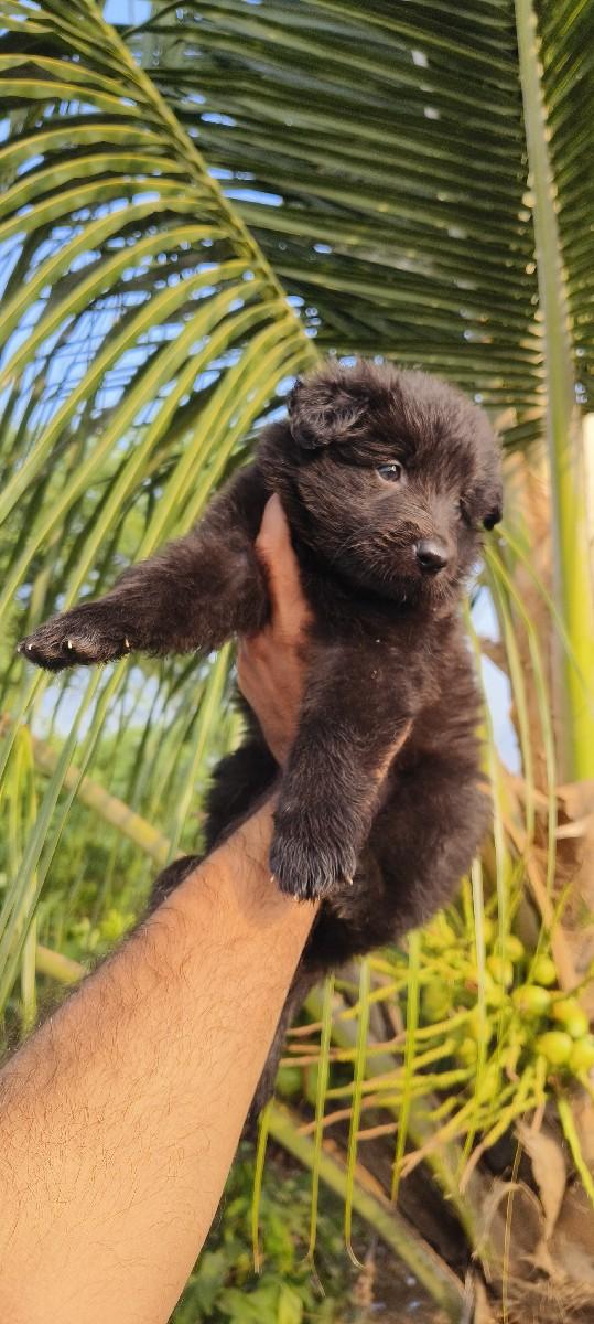 थंबनेल 3