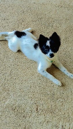 थंबनेल 2