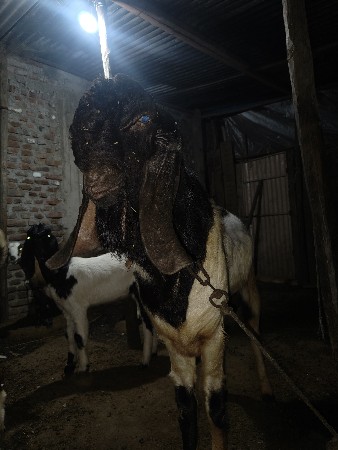 થંબનેલ 2