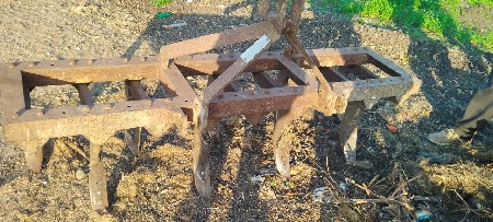 દાંતી ફારવા. એક ર્વષ  હાકેલી