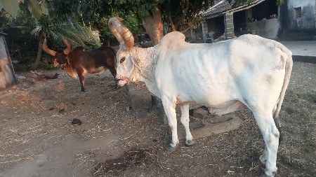 સુખી થાય ત્યાં આપવો