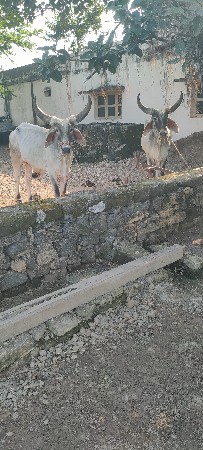 थंबनेल 3