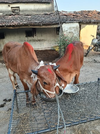 થંબનેલ 3