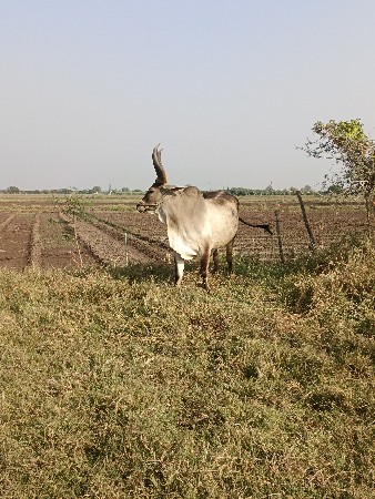 થંબનેલ 3