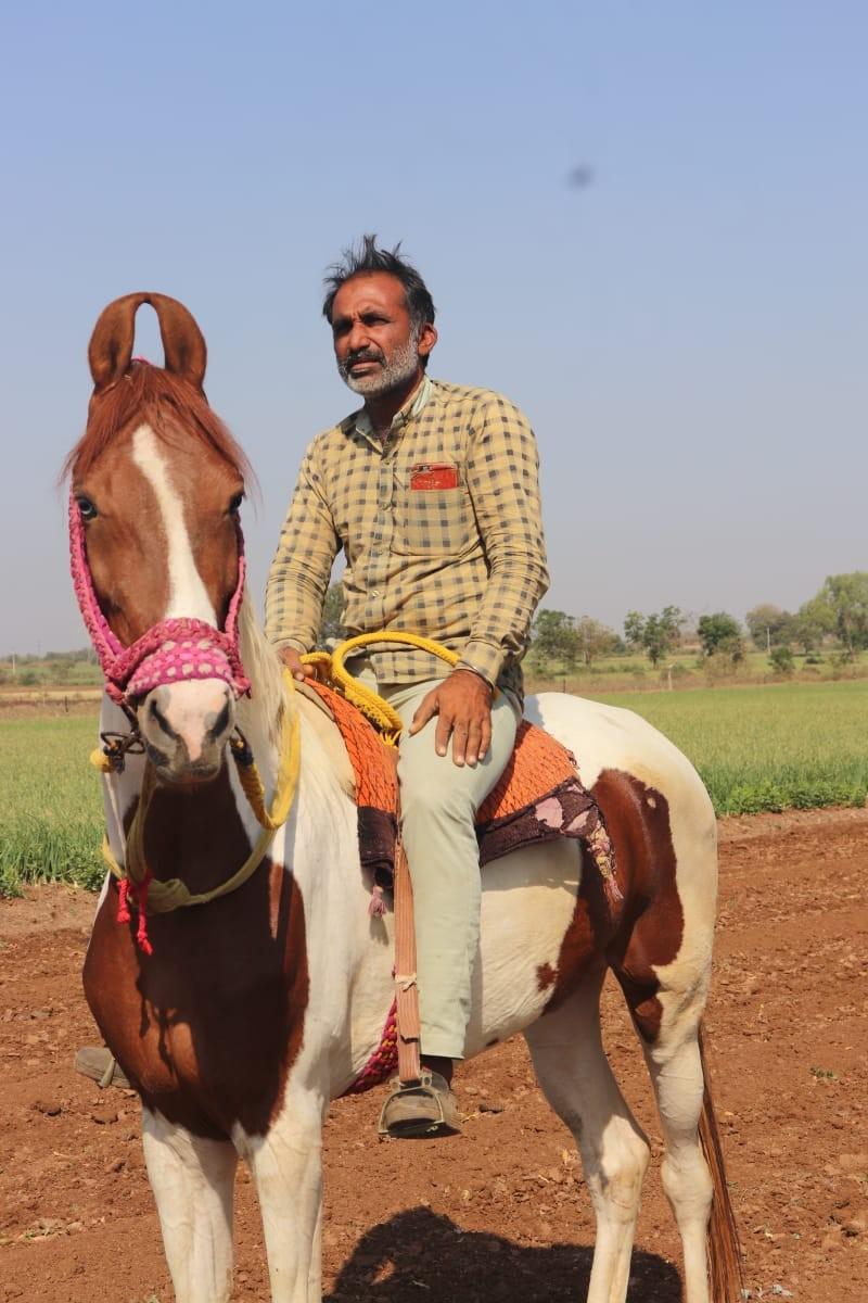 थंबनेल 3