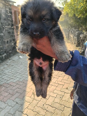 થંબનેલ 3