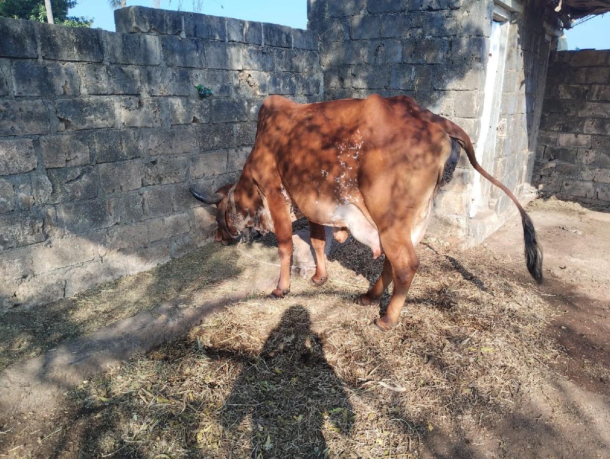 थंबनेल 2