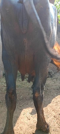 थंबनेल 3