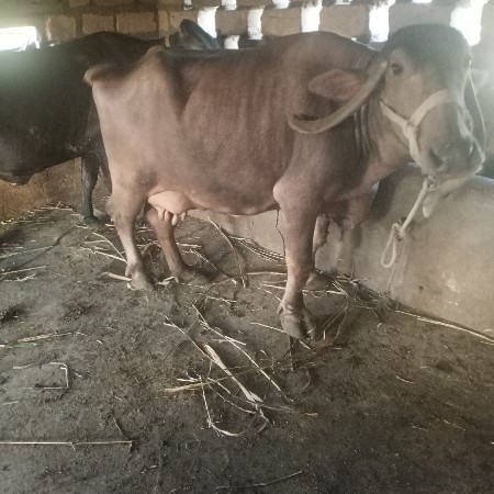 थंबनेल 2