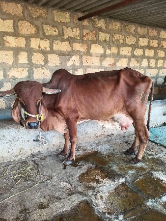 थंबनेल 3