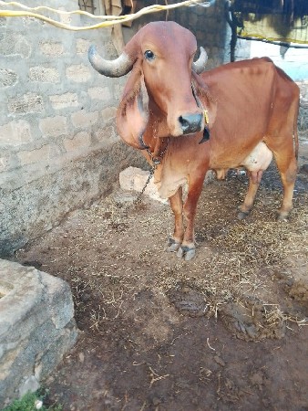 थंबनेल 2