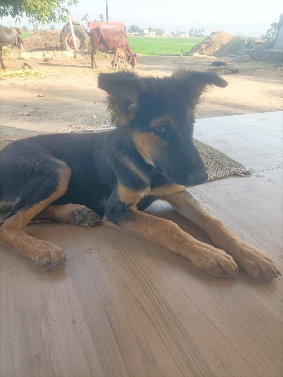 થંબનેલ 3