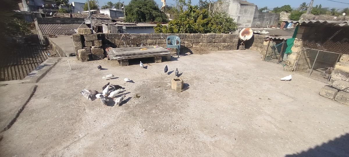 થંબનેલ 3