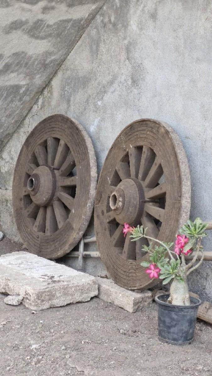 थंबनेल 3