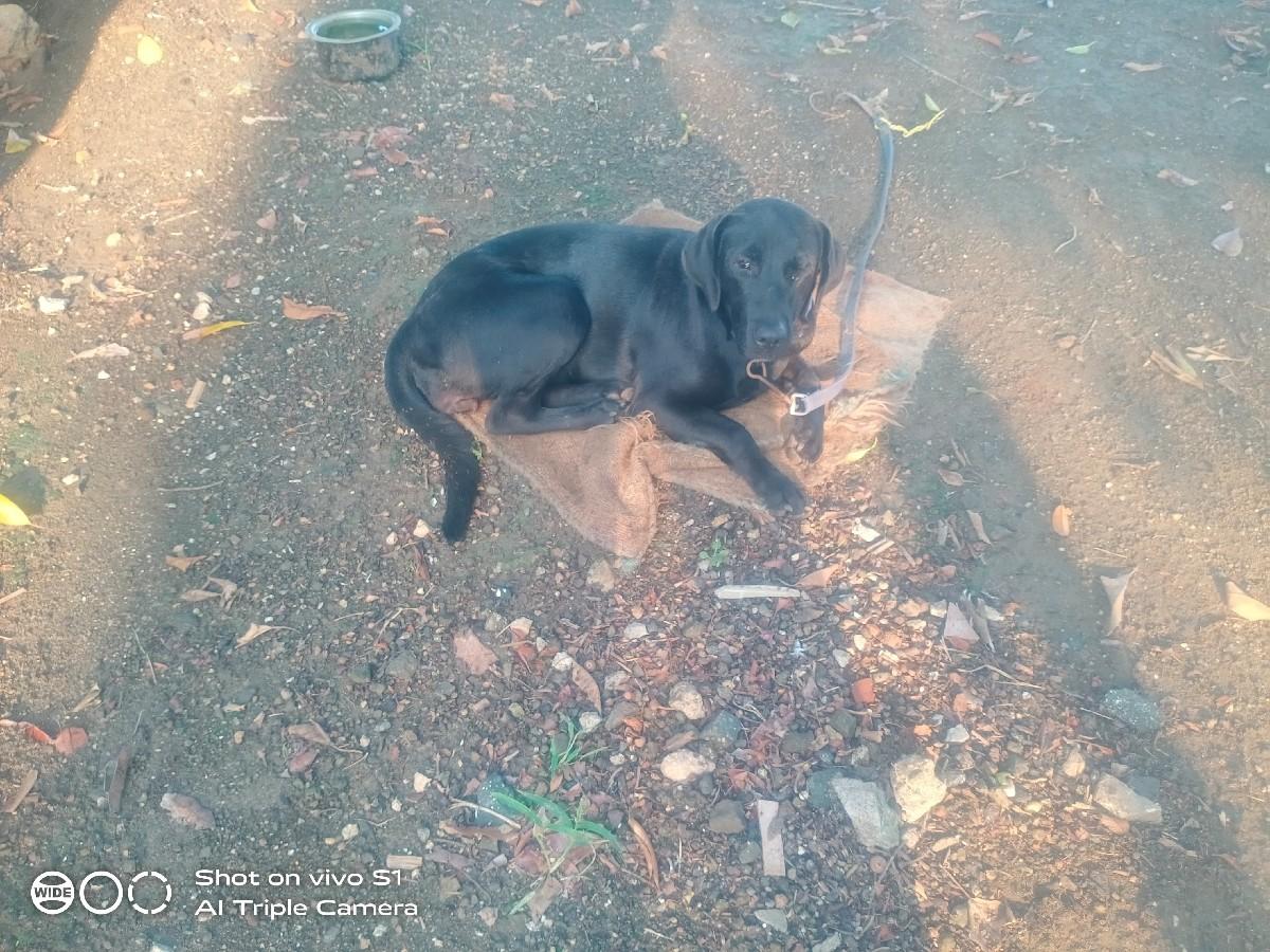 थंबनेल 3