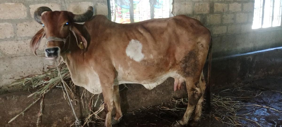 थंबनेल 2