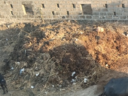 રાજા ભાઈ