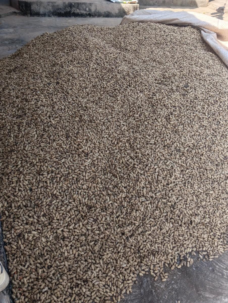 22nabar madvi devani he