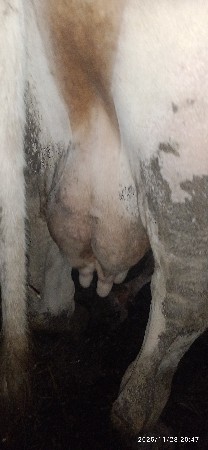 થંબનેલ 2