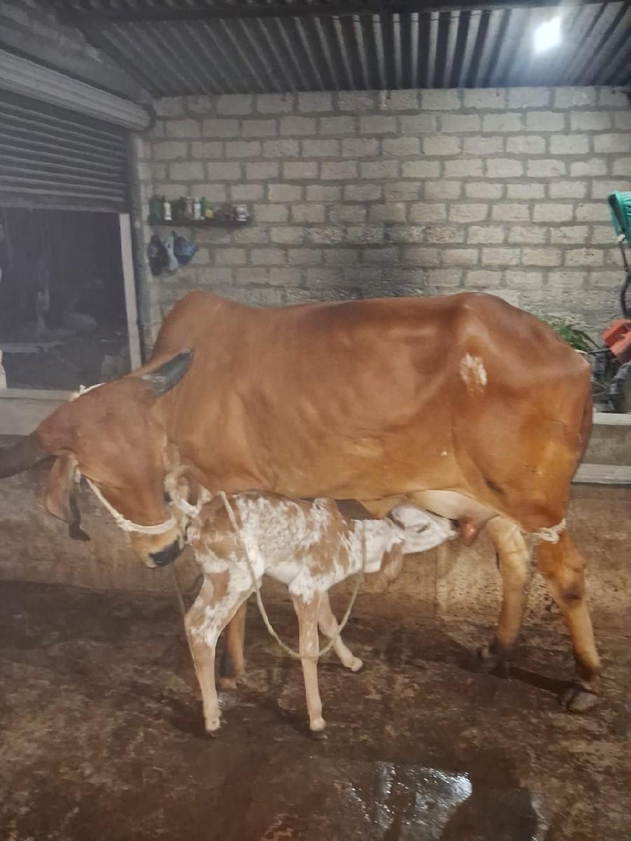 બેસવાની