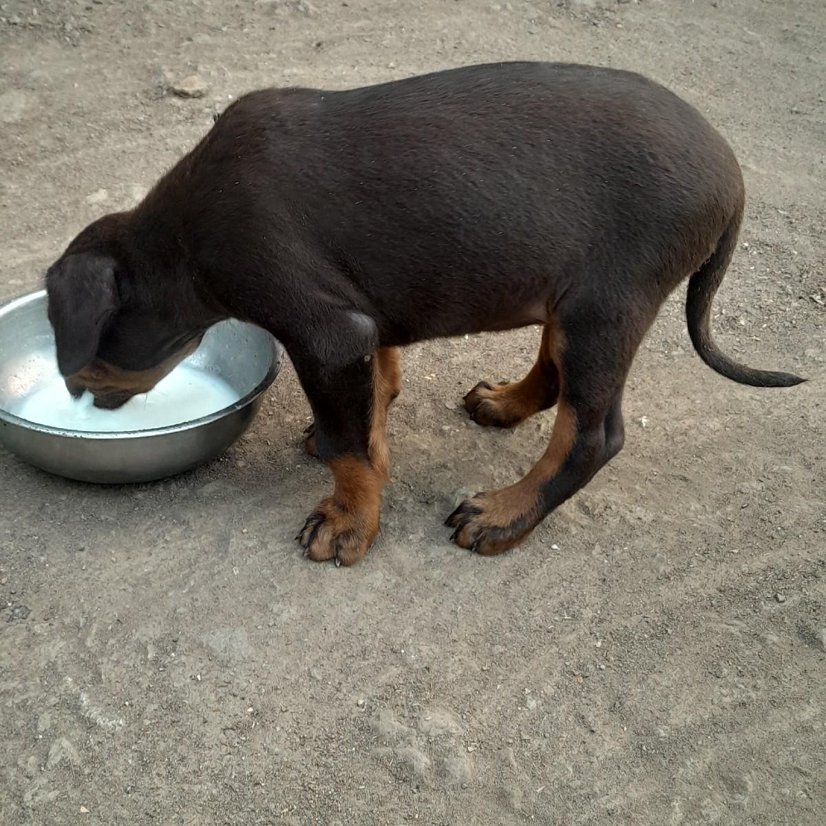 થંબનેલ 2