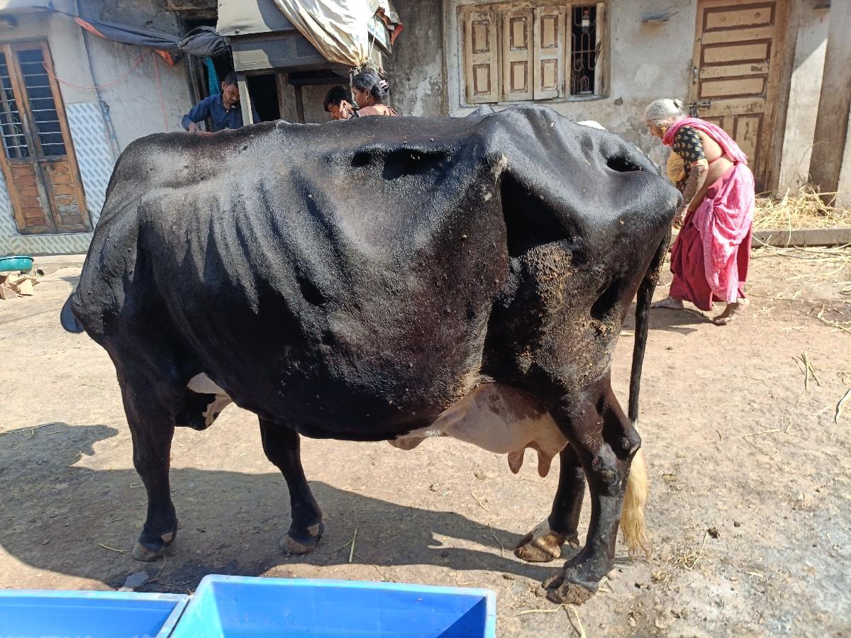 थंबनेल 2