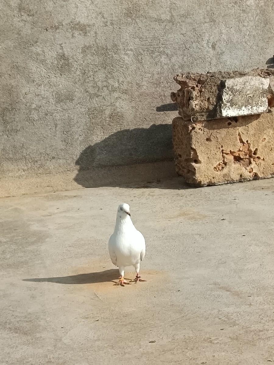 थंबनेल 3