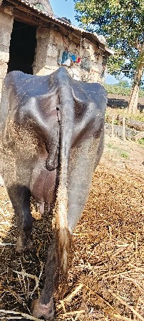 ૯૭૧૪૨૨૭૦૧૨