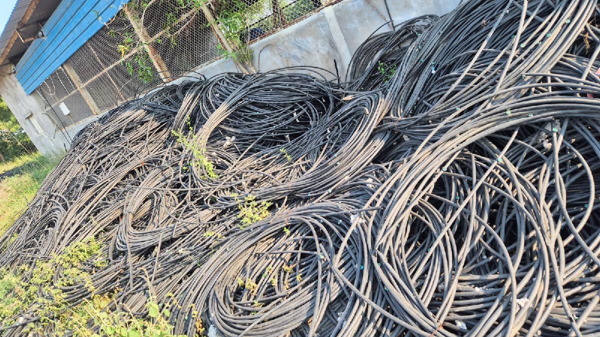 थंबनेल 6