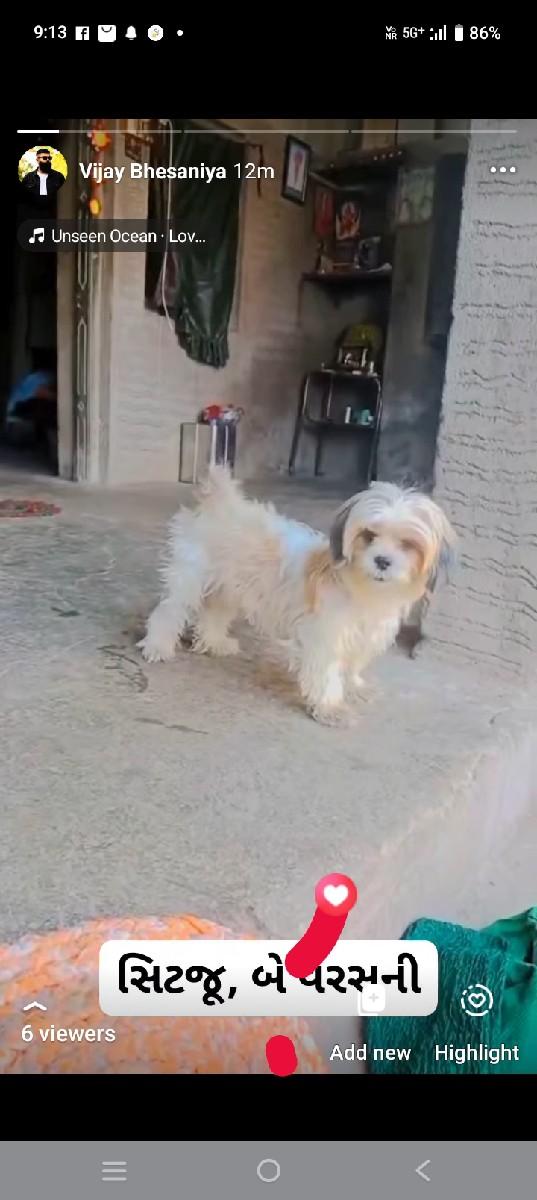 थंबनेल 3