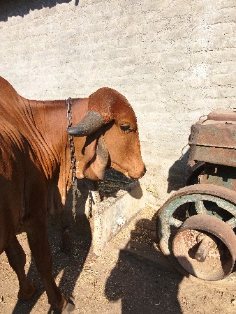 थंबनेल 2