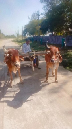 थंबनेल 3