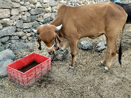 થંબનેલ 2