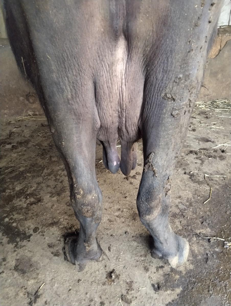 थंबनेल 3