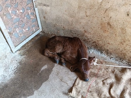 थंबनेल 2