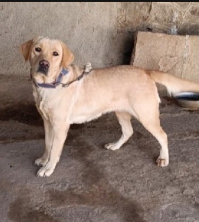 थंबनेल 2