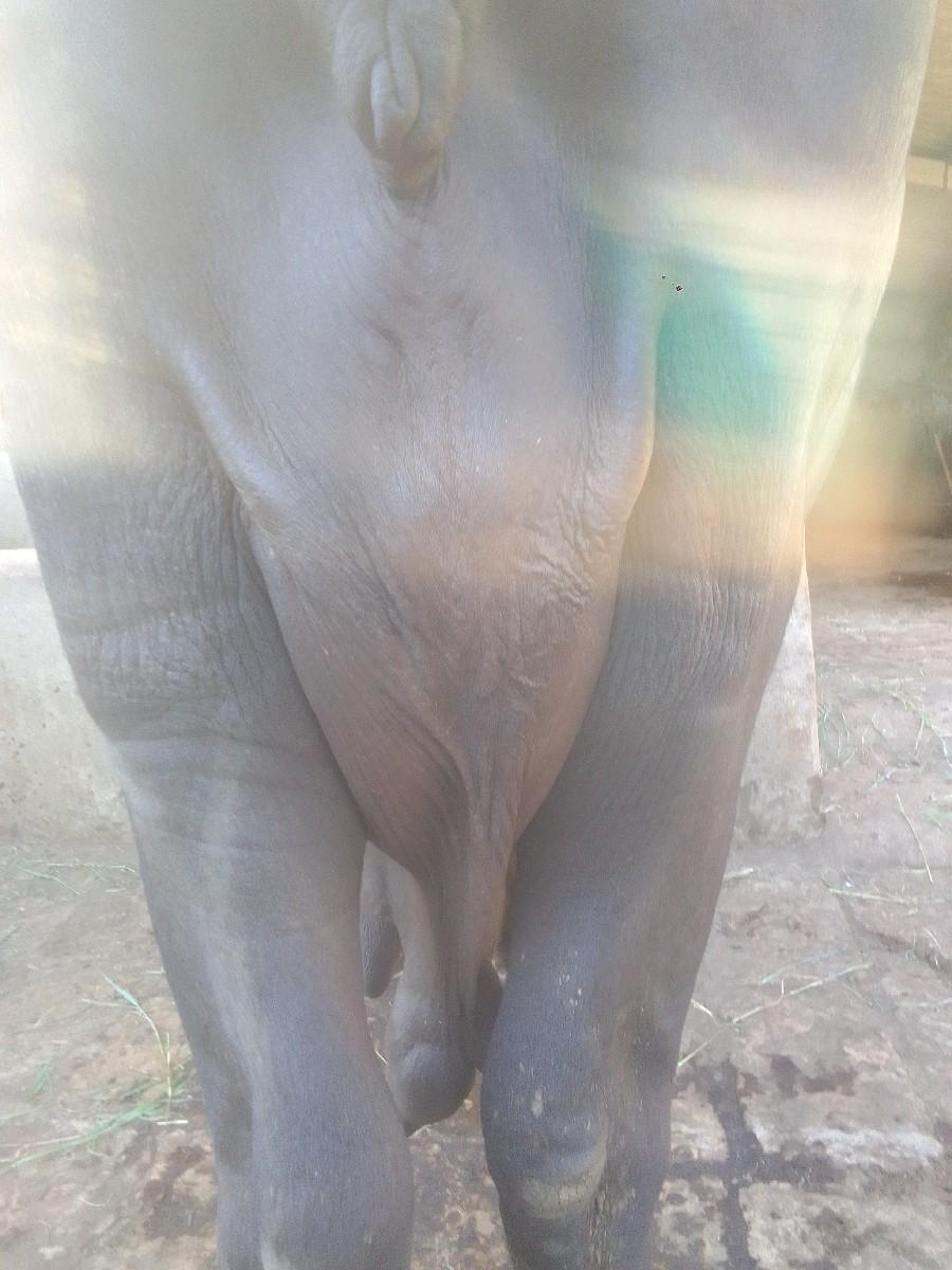 મોકલો   મૂ. આજક.  તા માગરુણ.