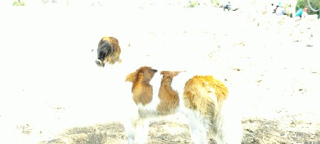 थंबनेल 3