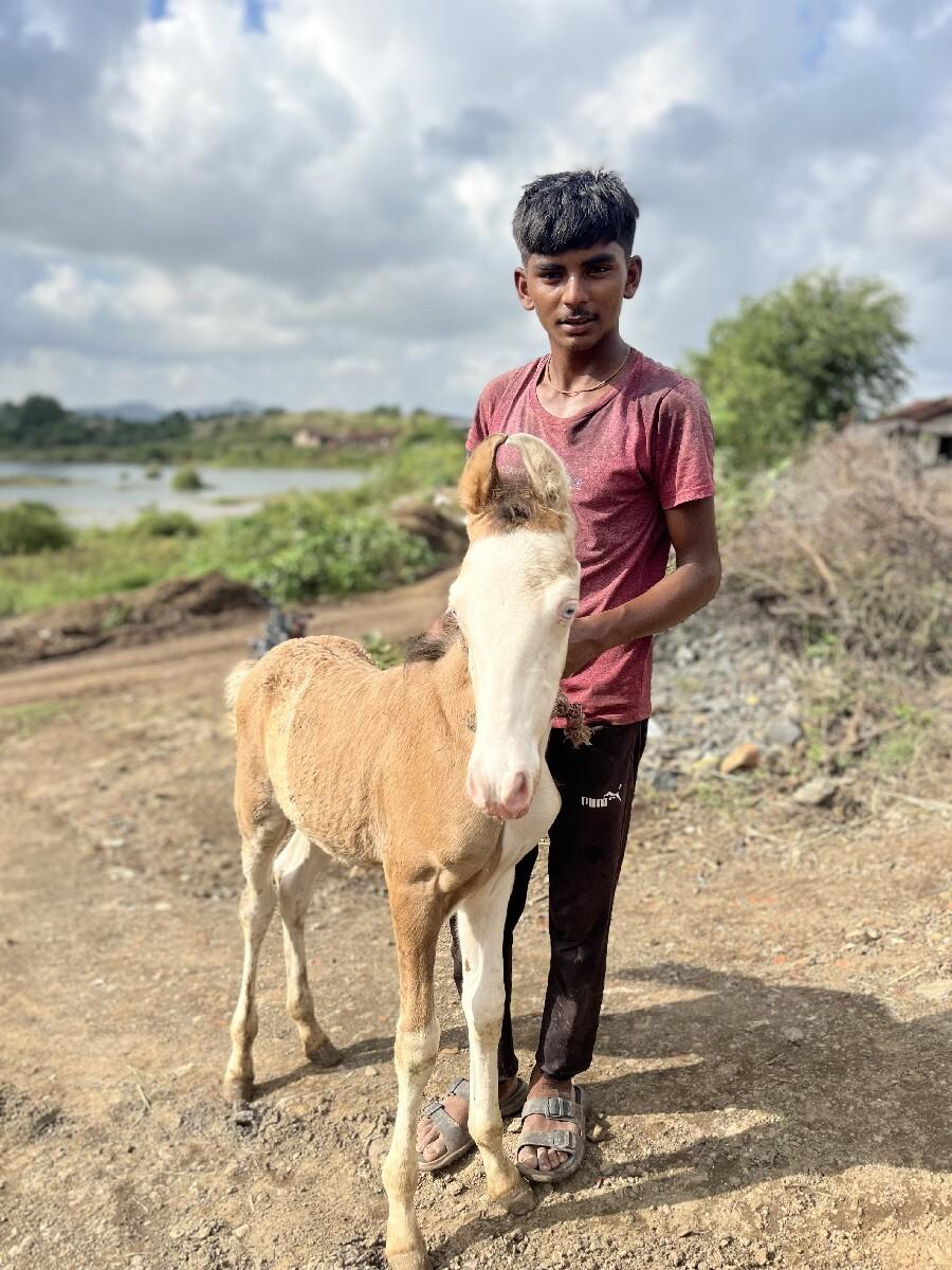 थंबनेल 3