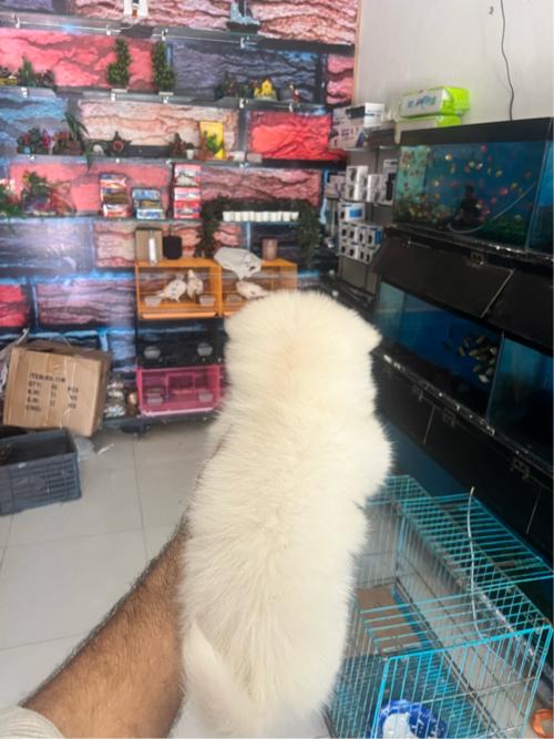 थंबनेल 3