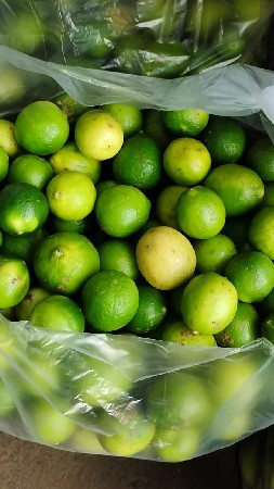 જમીન લે વેચ માટે સંપર્ક કરો*