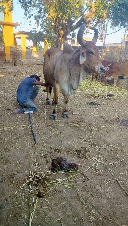 થંબનેલ 3