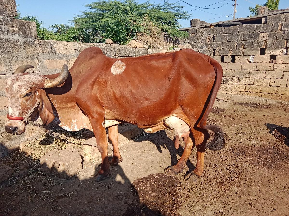 थंबनेल 2